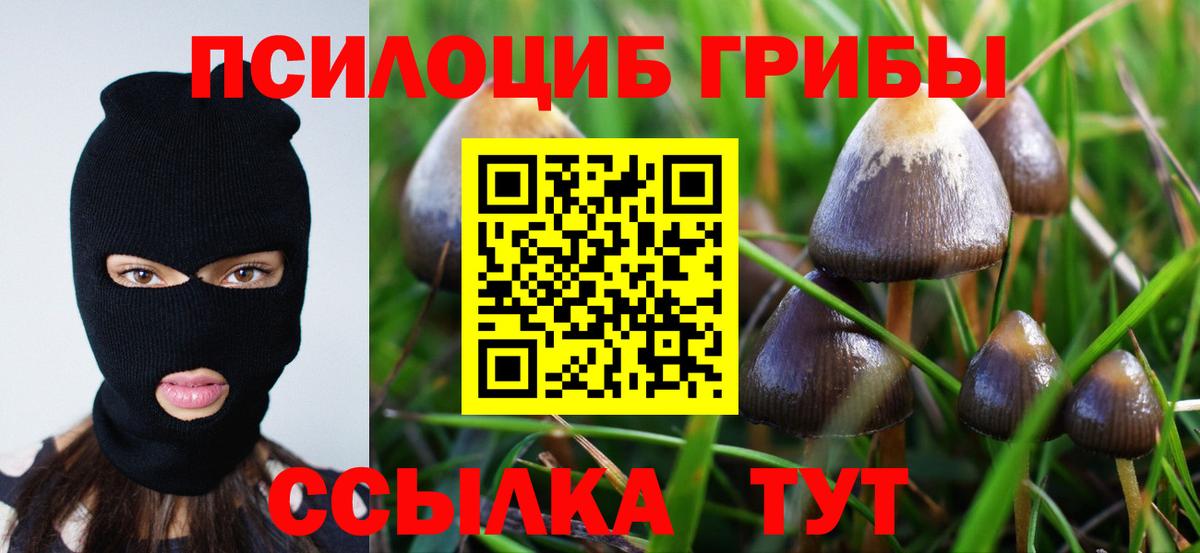 наркошоп  Псилоцибиновые грибы Magic Shrooms  Вход с VPN  Сатка 
